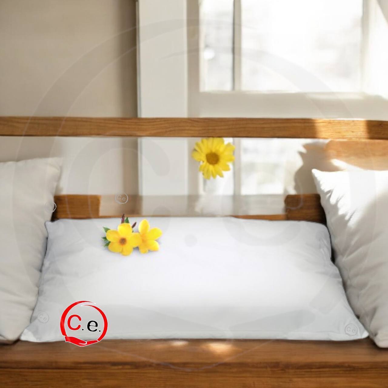 Guanciale 5 🌟🌟🌟🌟🌟 stelle