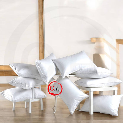 Guanciale 5 🌟🌟🌟🌟🌟 stelle