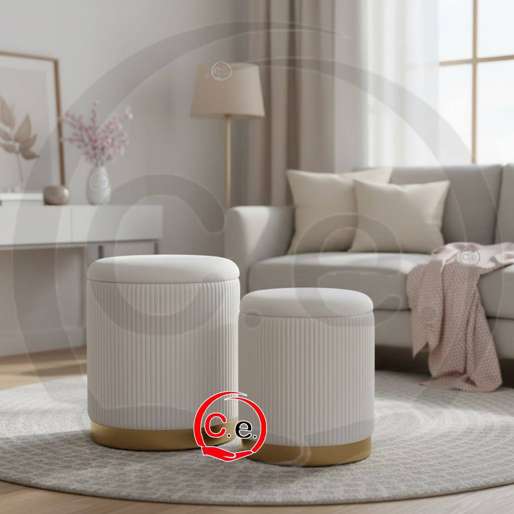 Set 2 Pouf contenitore in velluto con base dorata