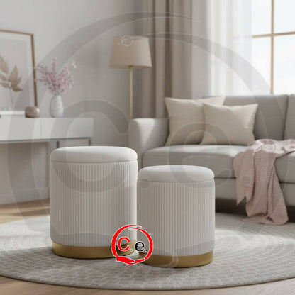 Set 2 Pouf contenitore in velluto con base dorata