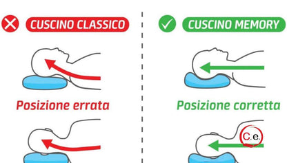 Guanciale Aloe🌱Vera in Memory